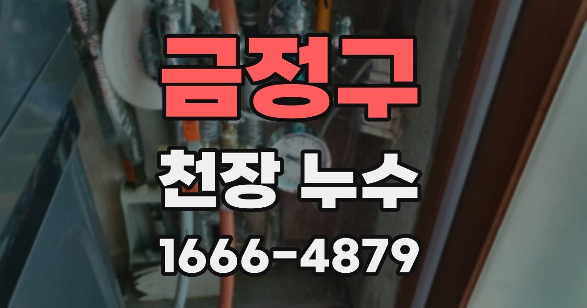 금정구 천장 누수