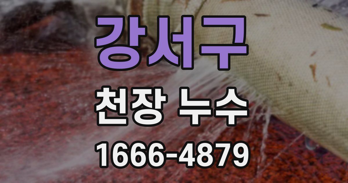 강서구 천장 누수