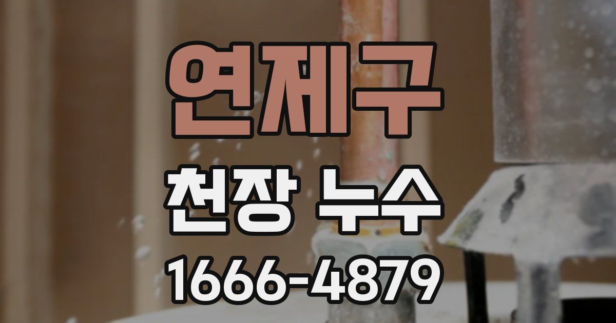 연제구 천장 누수