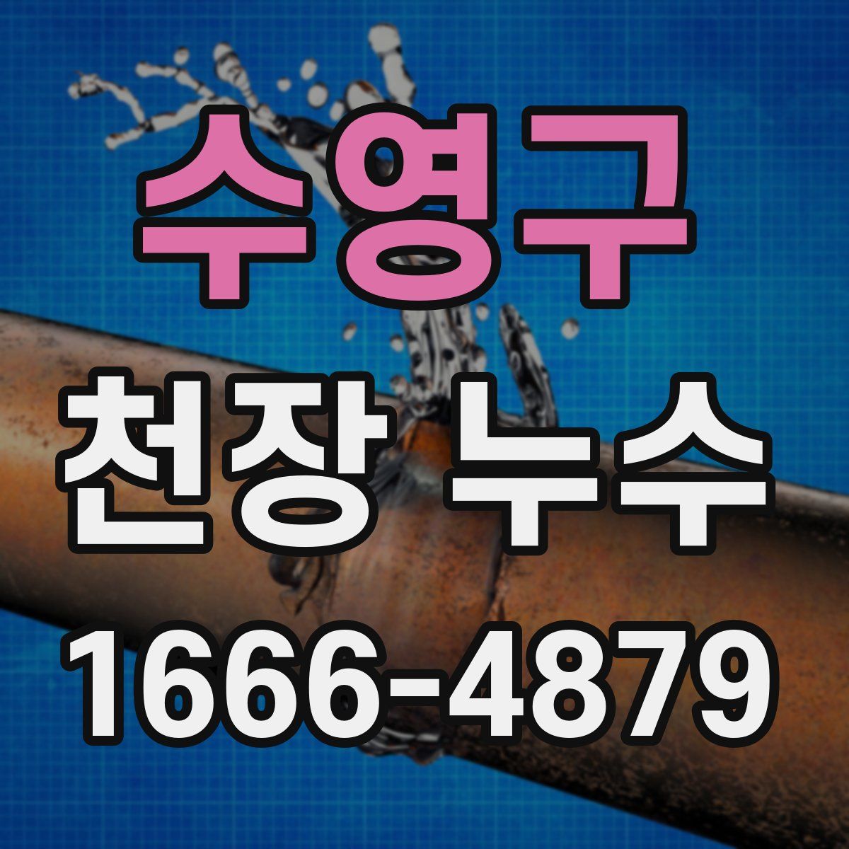 수영구 천장 누수