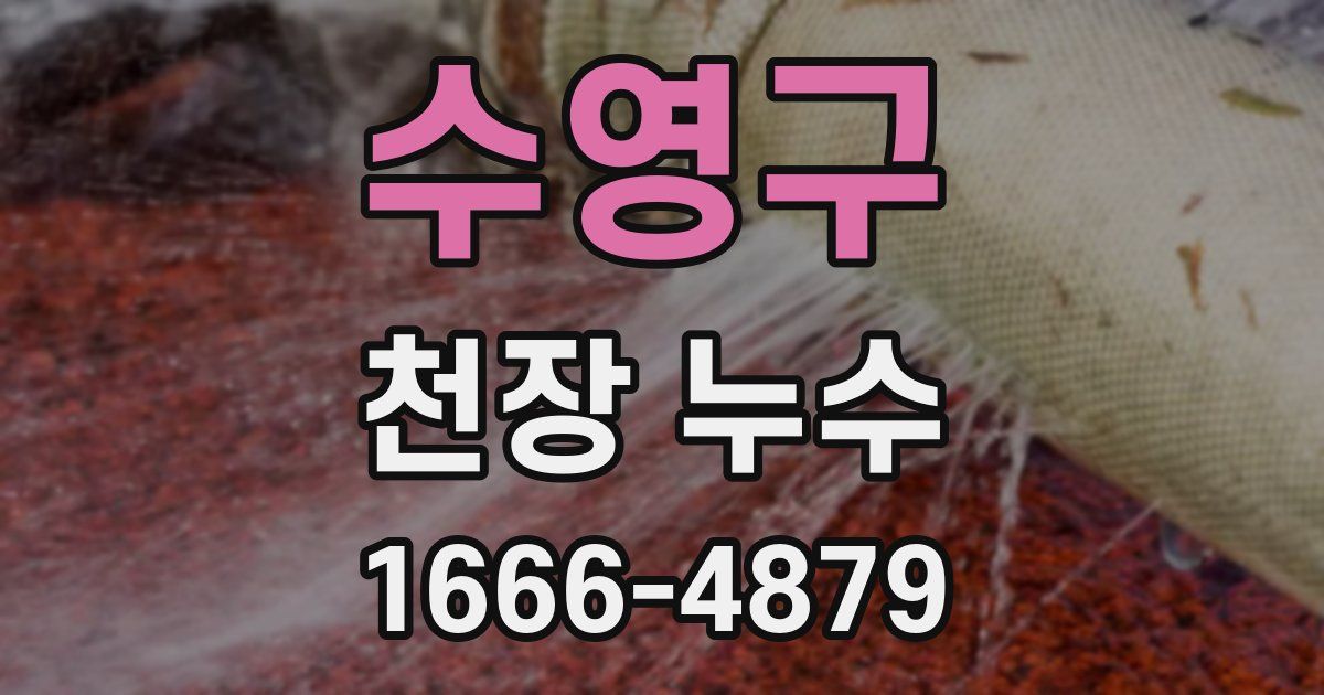 수영구 천장 누수