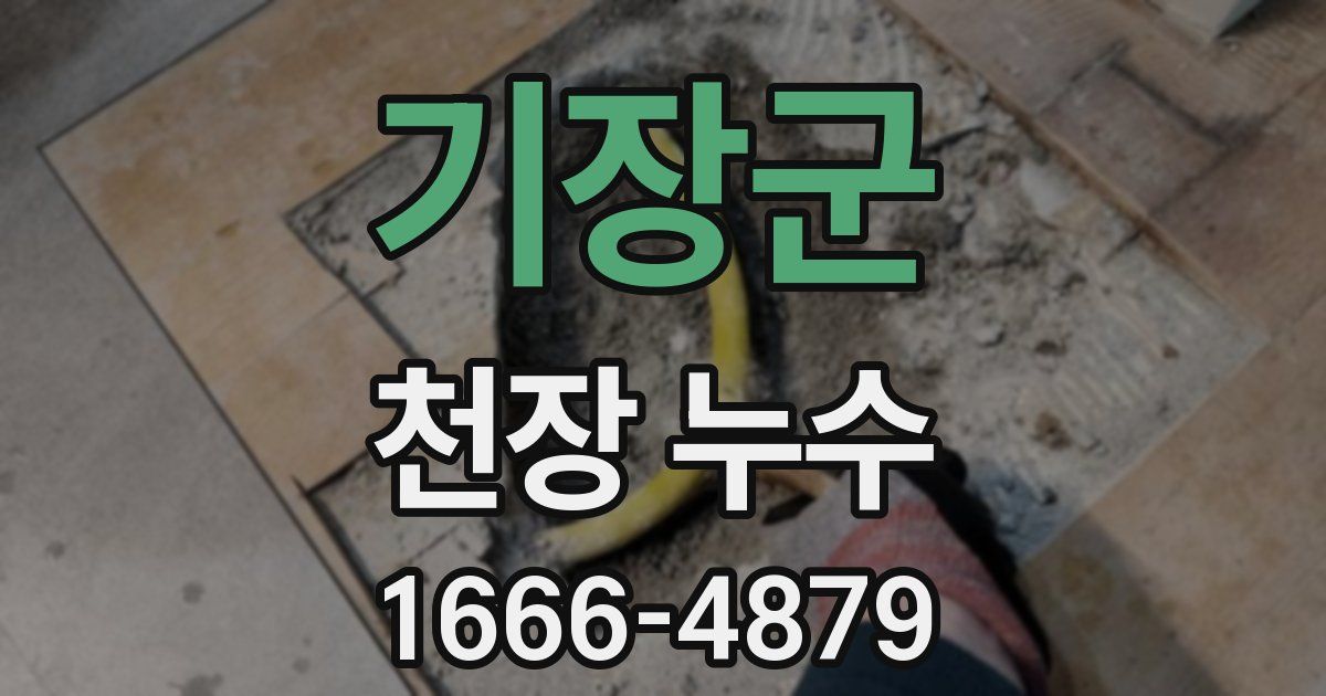 기장군 천장 누수
