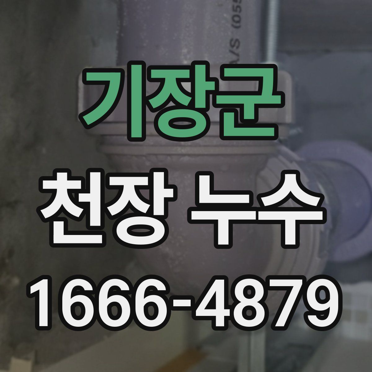 기장군 천장 누수