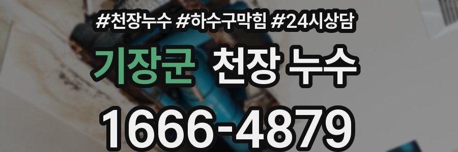 기장군 천장 누수