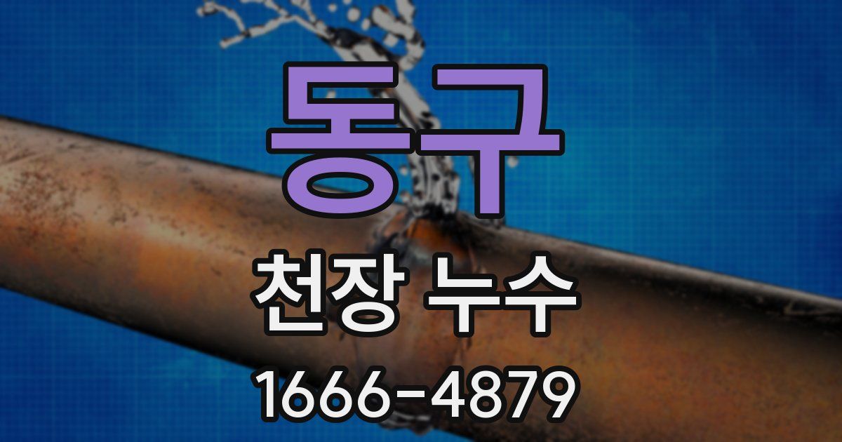 동구 천장 누수