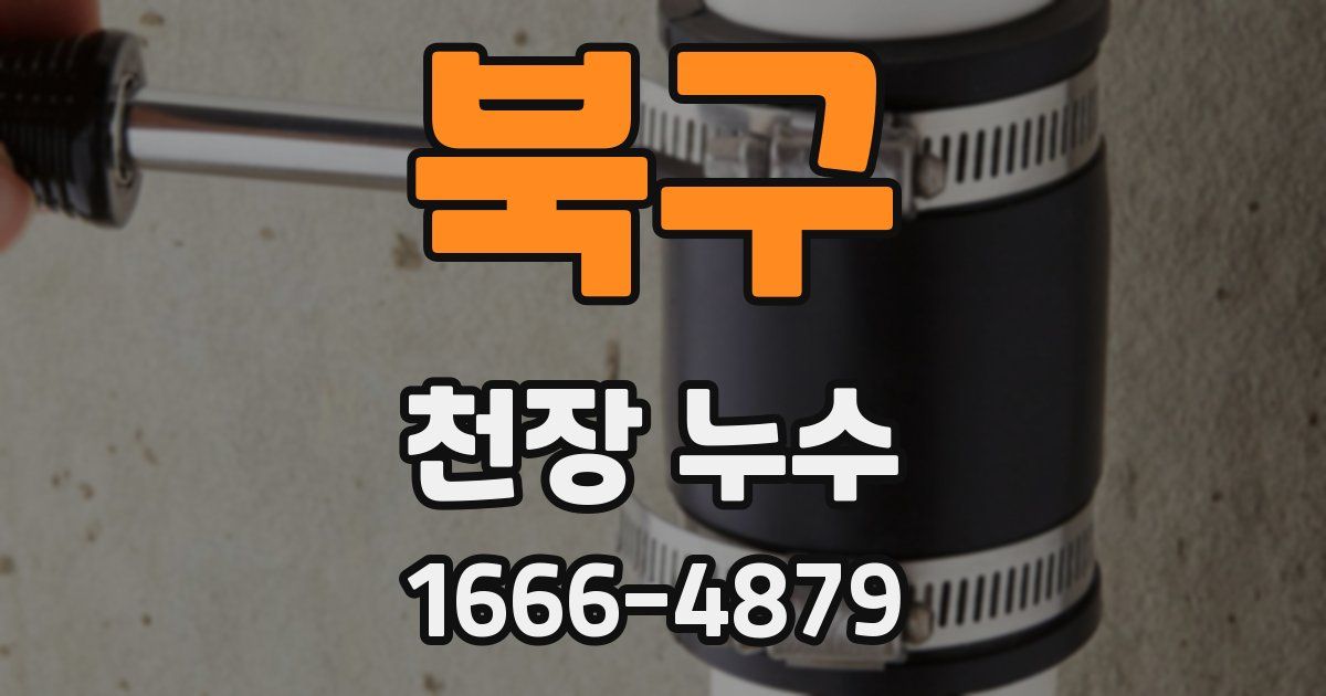 북구 천장 누수