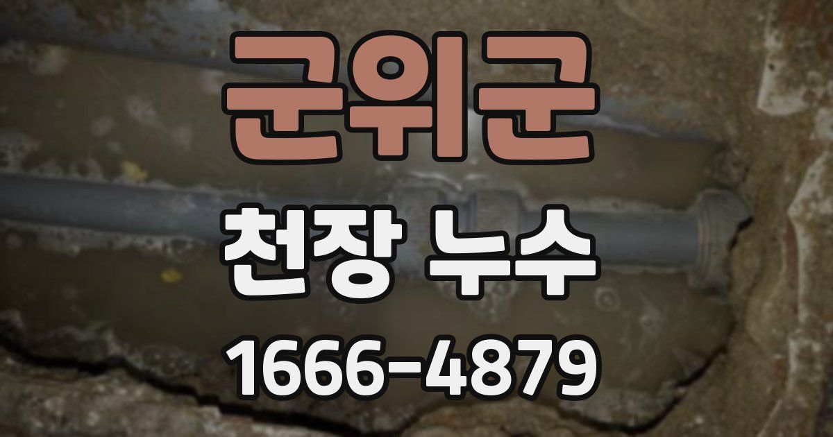 군위군 천장 누수