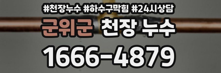 군위군 천장 누수