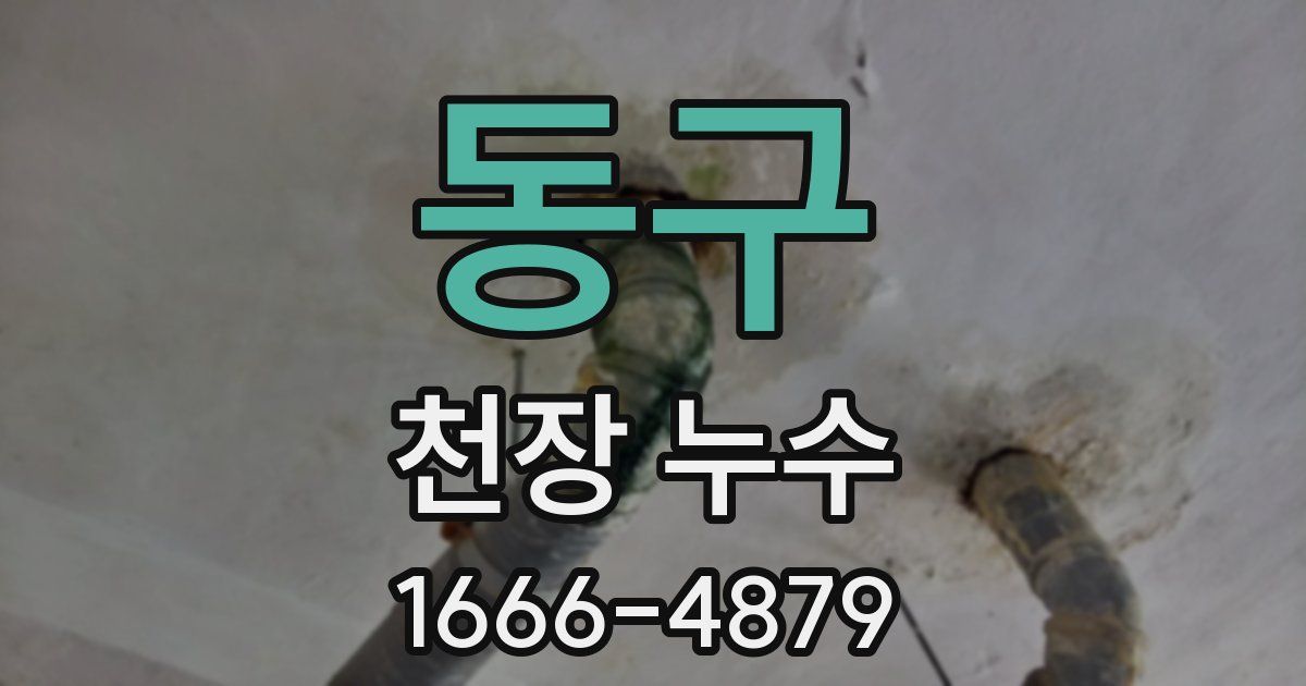 동구 천장 누수