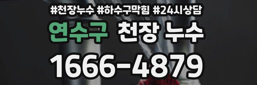 연수구 천장 누수