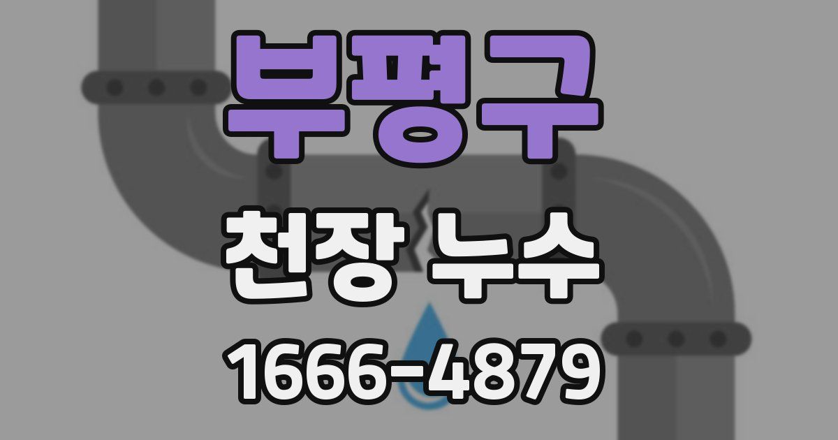 부평구 천장 누수