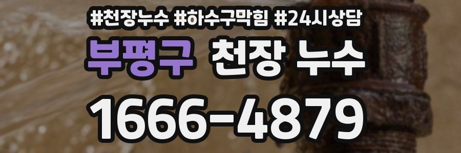 부평구 천장 누수