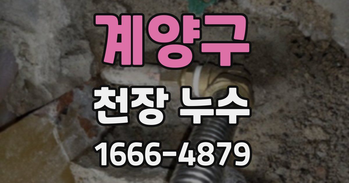 계양구 천장 누수