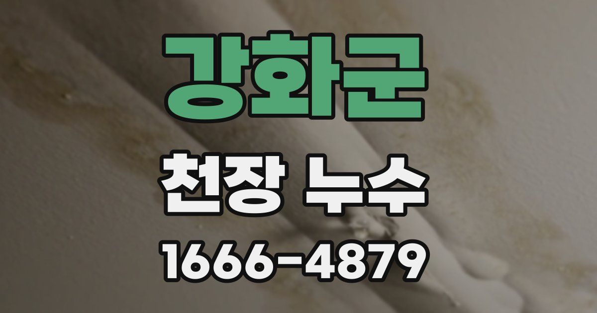 강화군 천장 누수