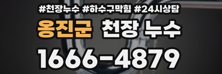 옹진군 천장 누수