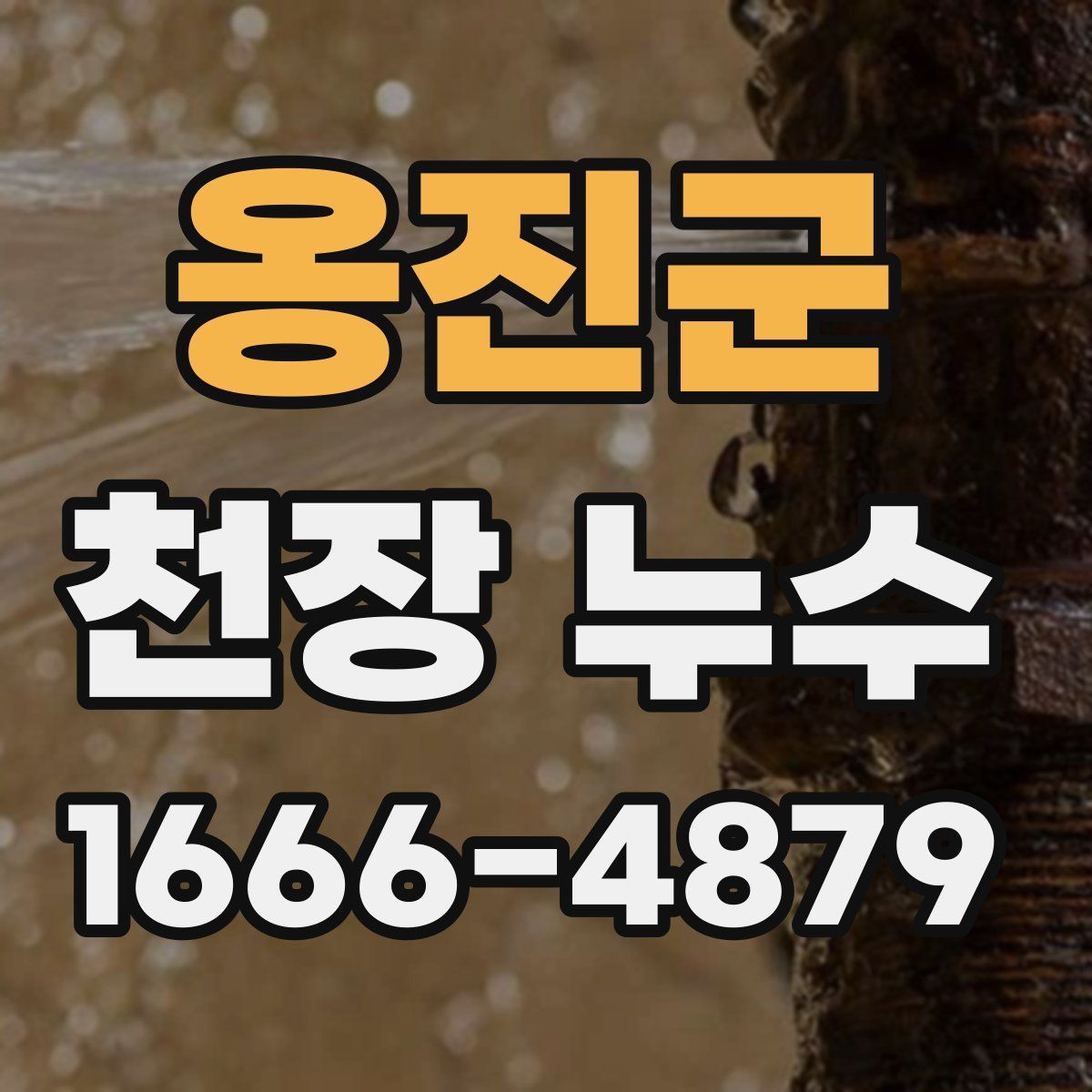 옹진군 천장 누수