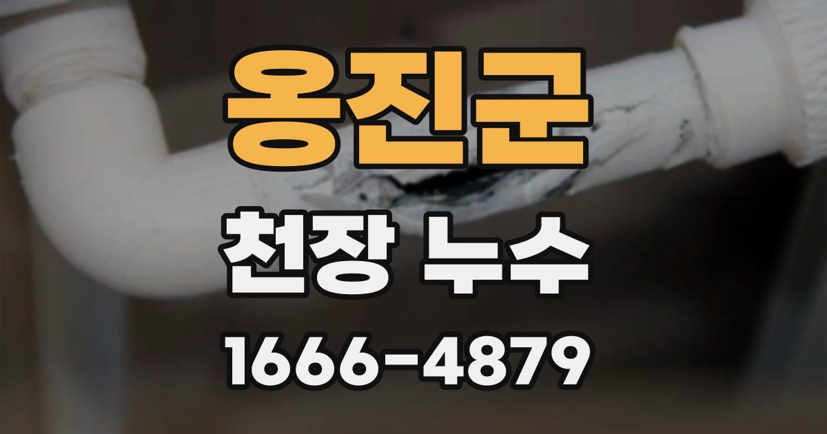 옹진군 천장 누수