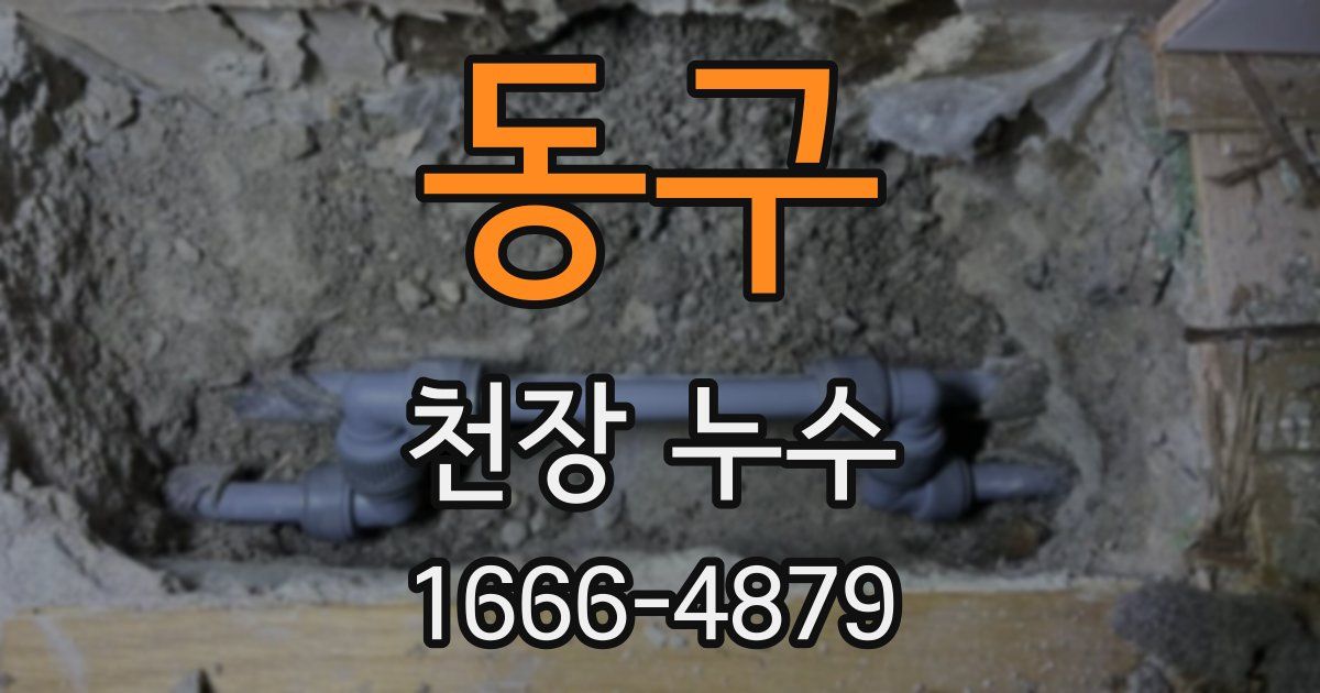 동구 천장 누수