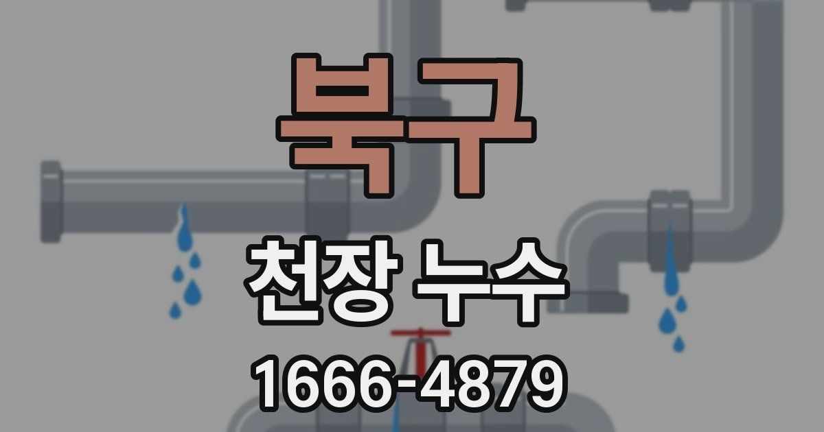 북구 천장 누수