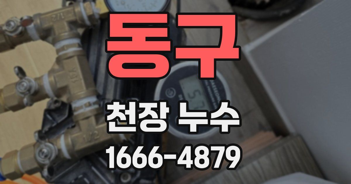 동구 천장 누수