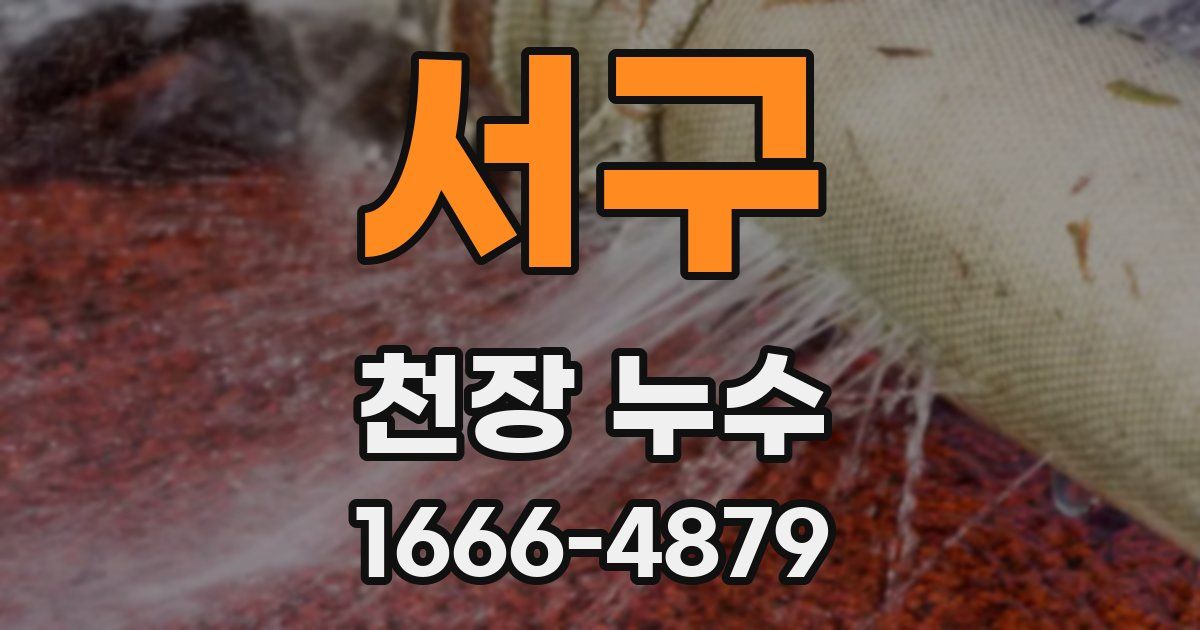 서구 천장 누수