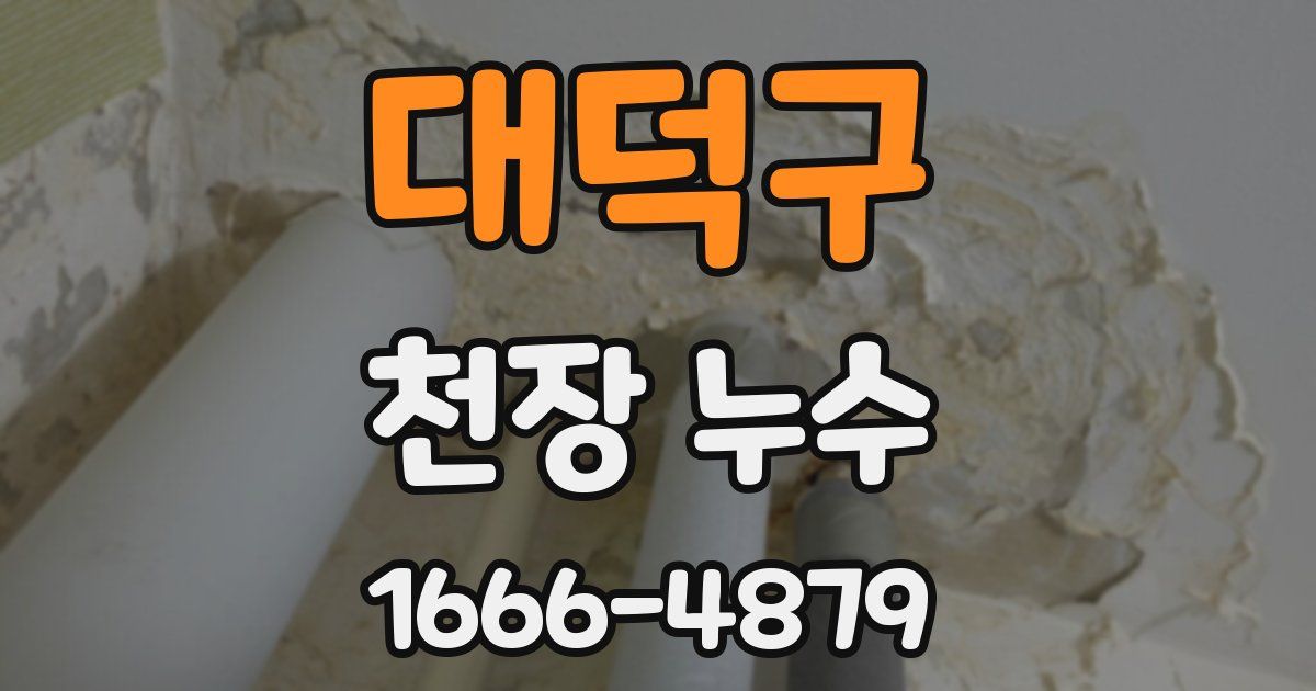 대덕구 천장 누수