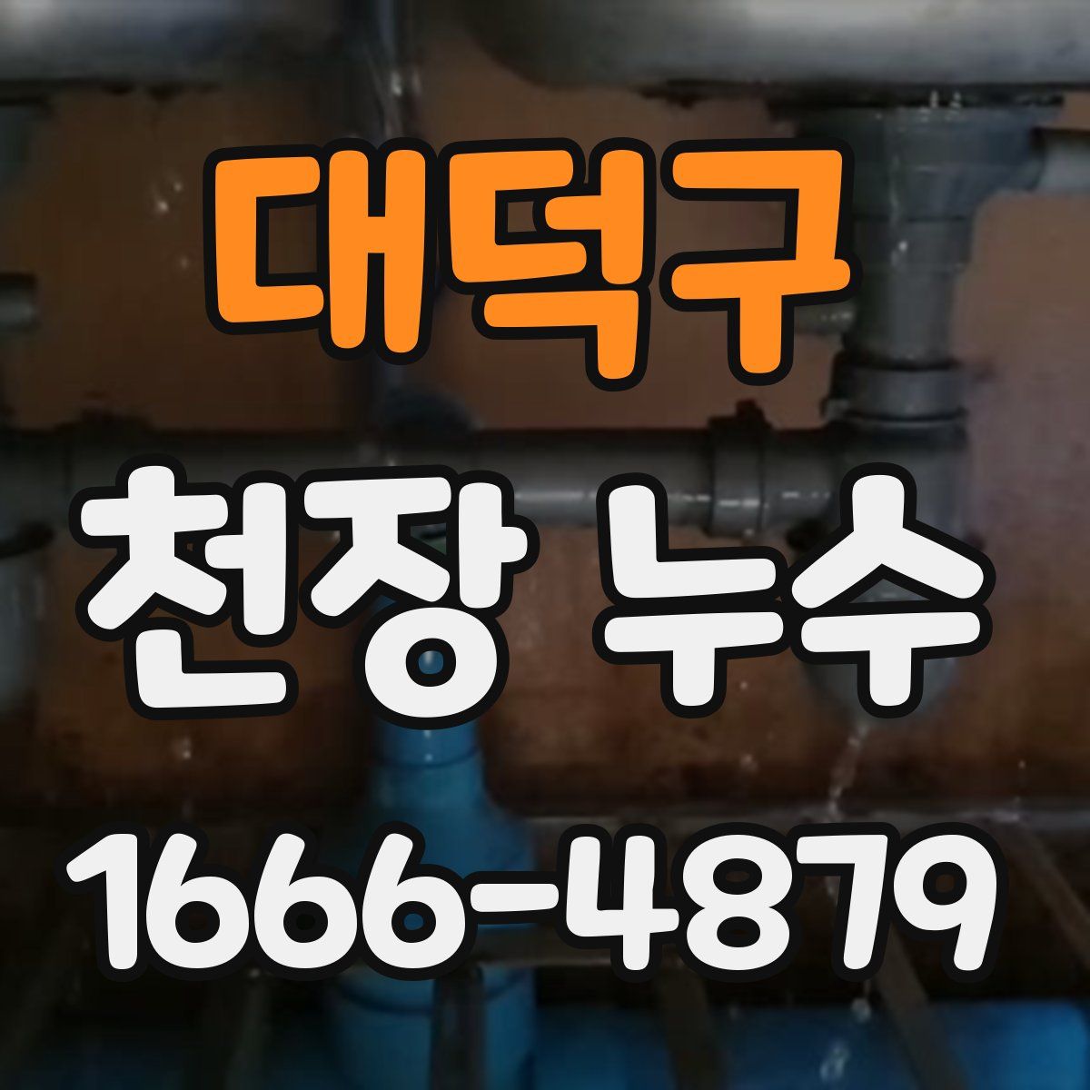 대덕구 천장 누수