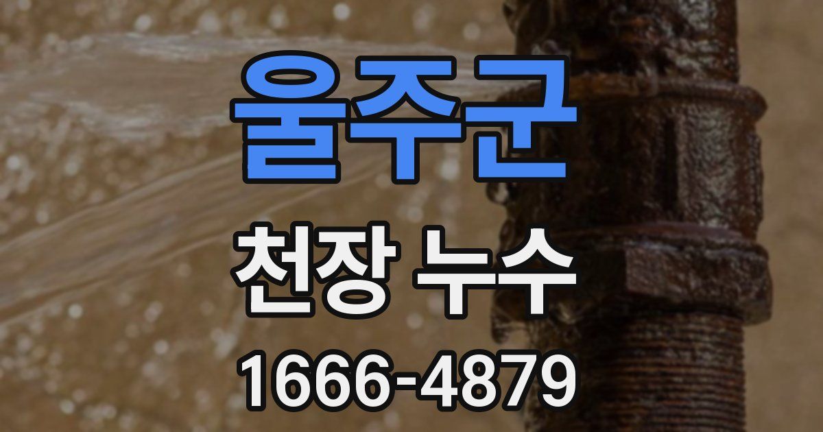 울주군 천장 누수