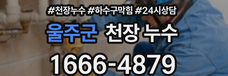 울주군 천장 누수