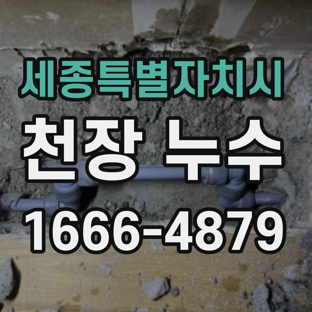 세종특별자치시 천장 누수