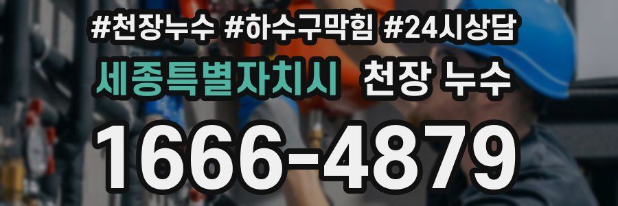 세종특별자치시 천장 누수