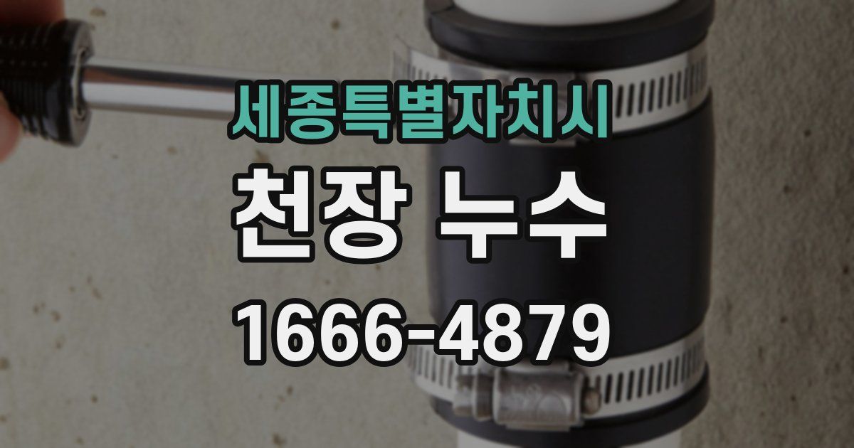 세종특별자치시 천장 누수