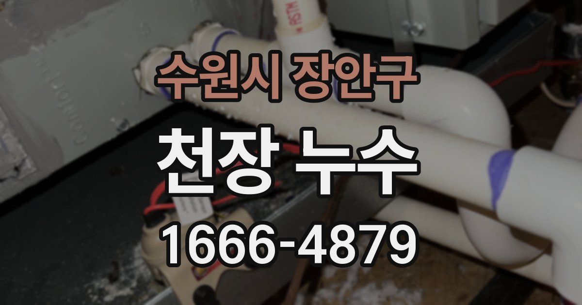 수원시 장안구 천장 누수