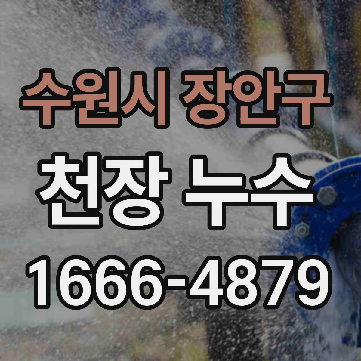 수원시 장안구 천장 누수