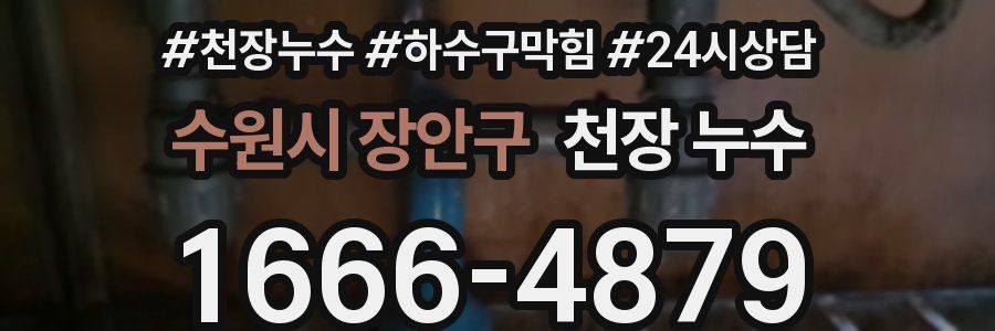 수원시 장안구 천장 누수