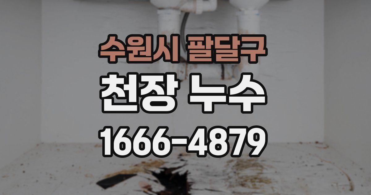 수원시 팔달구 천장 누수