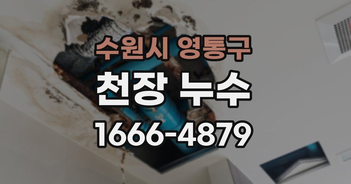 수원시 영통구 천장 누수
