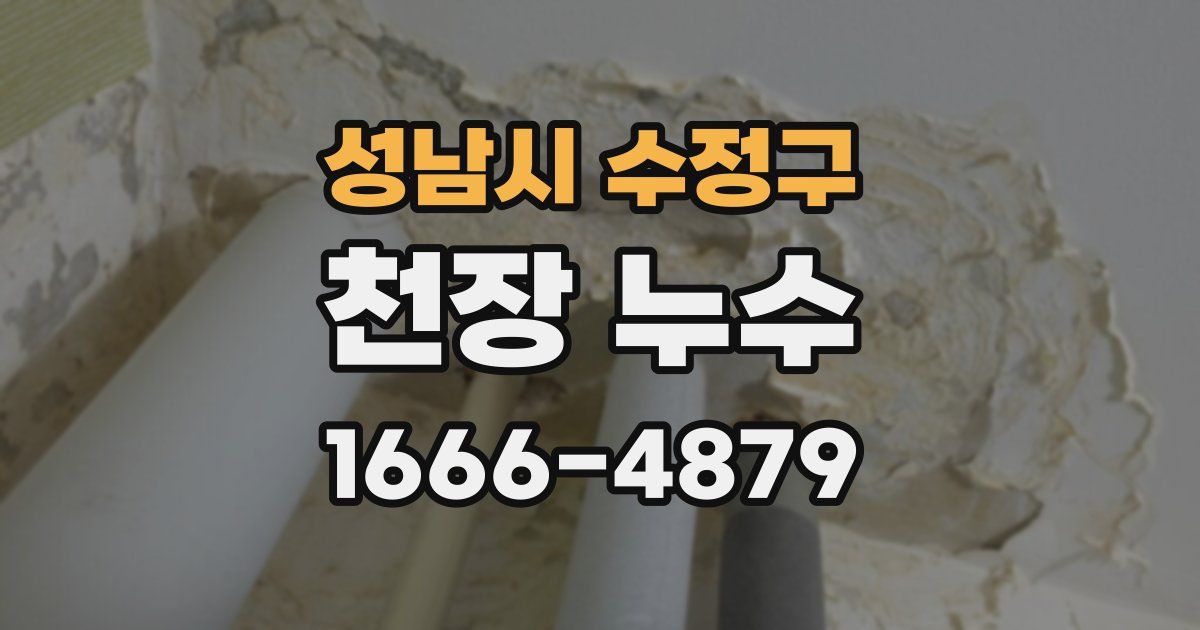 성남시 수정구 천장 누수