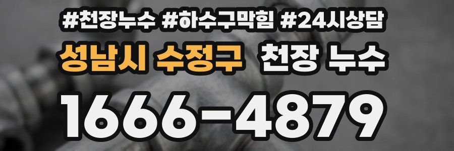 성남시 수정구 천장 누수