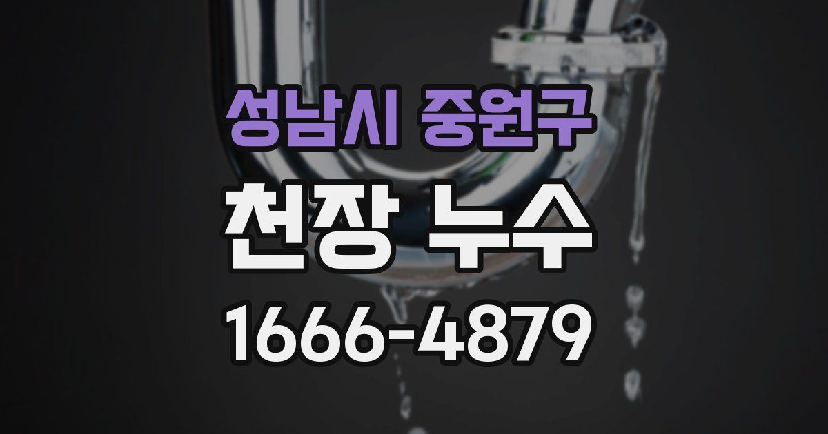 성남시 중원구 천장 누수