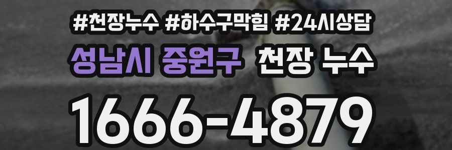 성남시 중원구 천장 누수