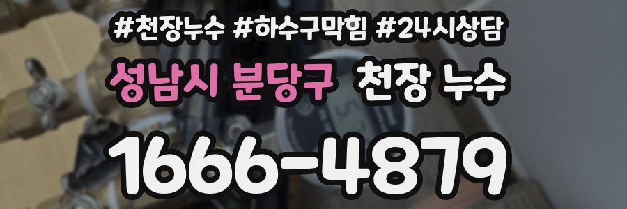 성남시 분당구 천장 누수