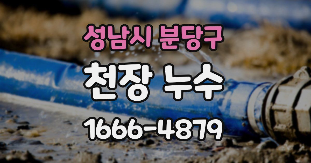 성남시 분당구 천장 누수