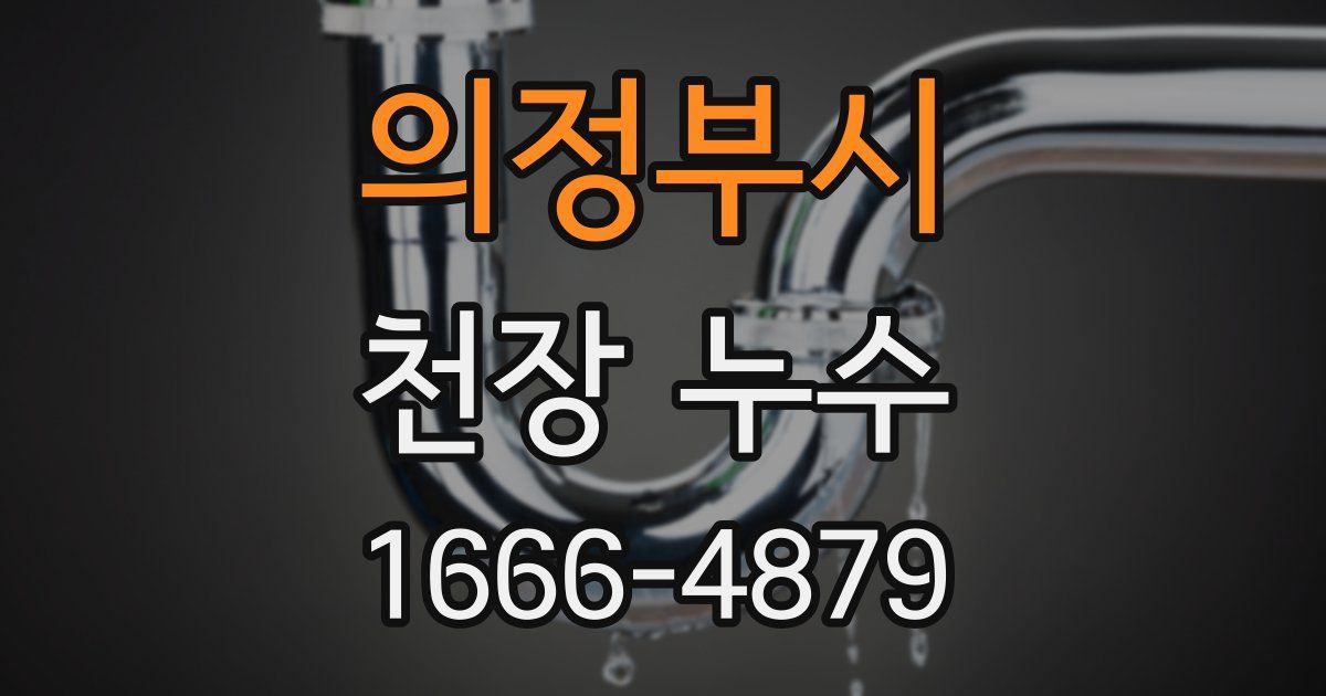 의정부시 천장 누수