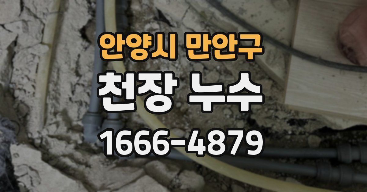 안양시 만안구 천장 누수