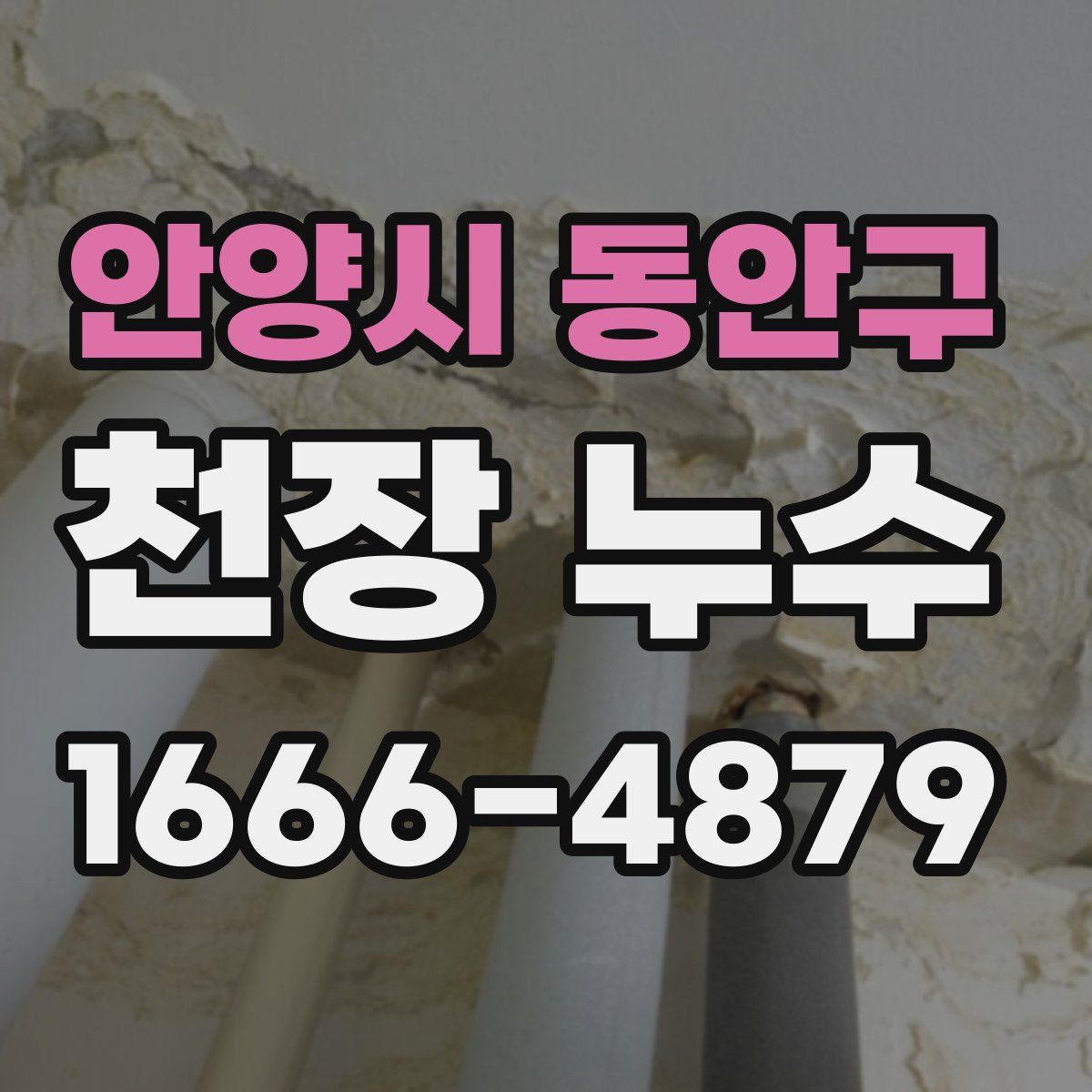 안양시 동안구 천장 누수