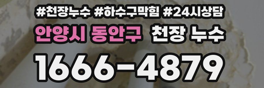 안양시 동안구 천장 누수