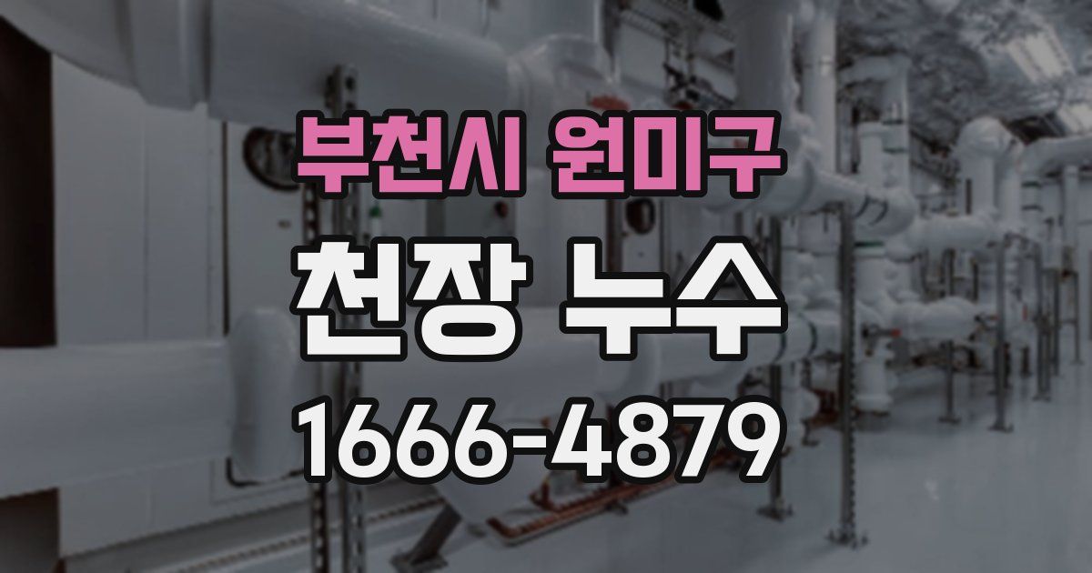 부천시 원미구 천장 누수