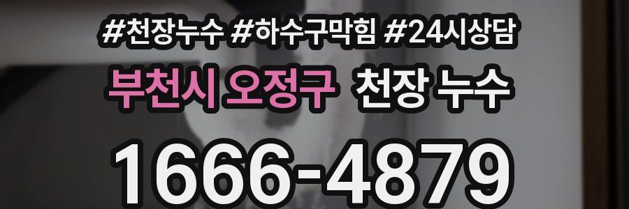 부천시 오정구 천장 누수