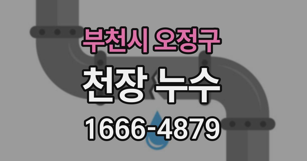 부천시 오정구 천장 누수